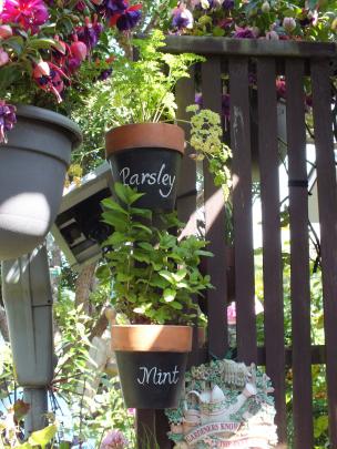 Potted herbs hang on the pergola. 