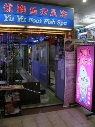 Footsore? Doctor fish may hold  the solution. Photo by Jeff Kavanagh.