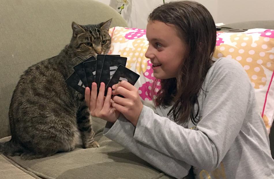  Isla Ludgate (10) confers with cat Harry during a card game at their Andersons Bay home. PHOTO:...