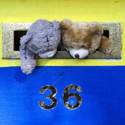 Two teddies in a letter box in a street in Macandrew Bay look like they are trying to escape....