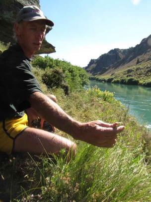 Mr Wills shows off a wheatgrass, one of many native grasses found on our trip.