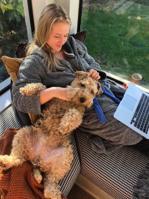 Distance learning . . . Enzo the Welsh Terrier (5) and Georgia Campbell (21) study for honours...