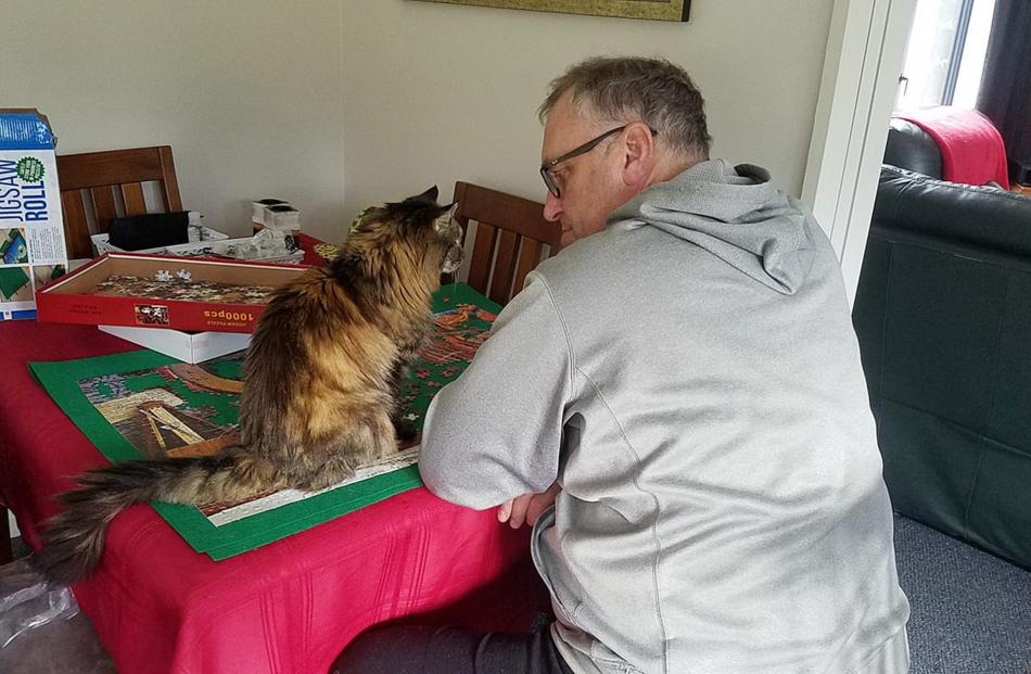 Purrrfect advice . . . Tony Heptinstall, of Dunedin, consults his puzzle assistant Willow for...