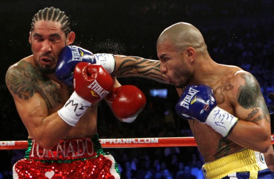 Miguel Cotto from Puerto Rico (R) lands a right hand to the head of Antonio Margarito from Mexico...