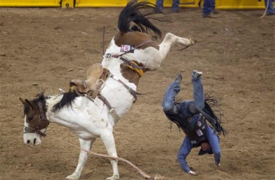 Sam Spreadborough of Texas is thrown from his mount during the saddle bronc competition in the...