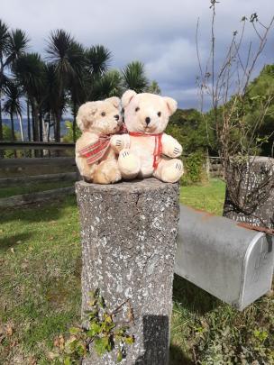 Country bears . . . Teddy display on a Warrington driveway. PHOTO: Kate Walker