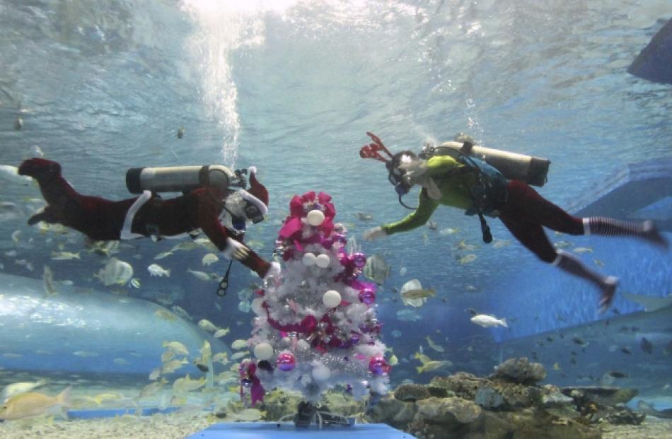 Divers decorate a Christmas tree inside a huge aquarium as part of celebrations for Christmas at...