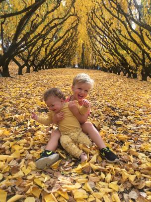Scarlett (10 months) and Angus (3) Land revel in the beauty of a Cromwell autumn. PHOTO: STU LAND