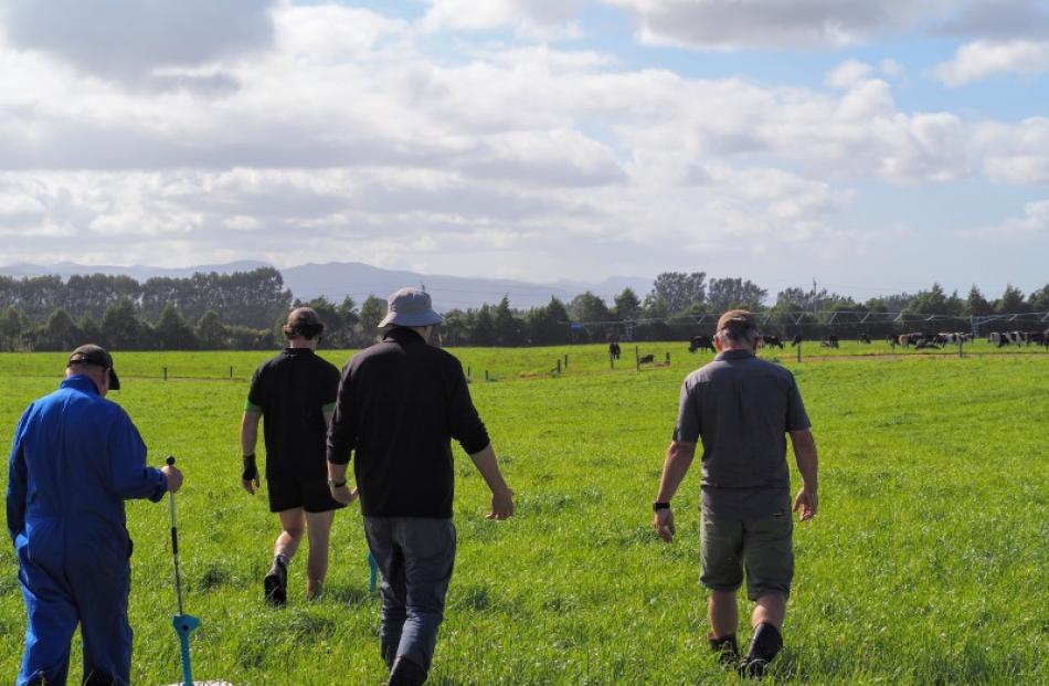 Farm walk ...Lincoln University Dairy Farm staff and management complete a farm walk before the...