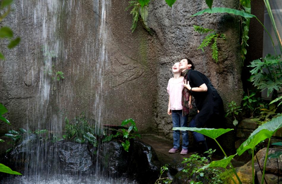 Visitors enjoy the waterfall in the Tropical Forest at the Otago Museum.