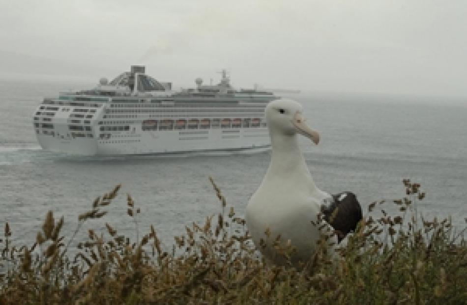 Albatross Centre