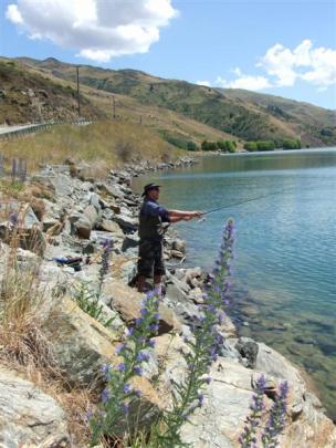 Keep it to yourself, but fisherman Bruce Smith, of Alexandra, says this spot near  the Clyde dam...