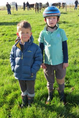 The next generation ... Helping Dad Fraser during the Fletcher family?s second on-farm Glendhu...