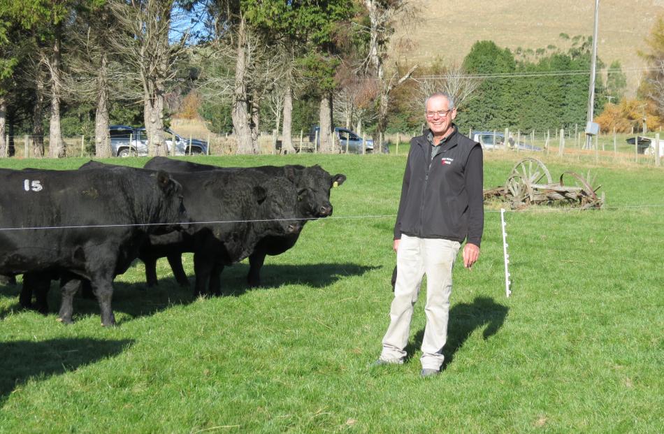 Pleasing turnout...Delmont Angus owner John Cochrane was pleased with the number of people who...