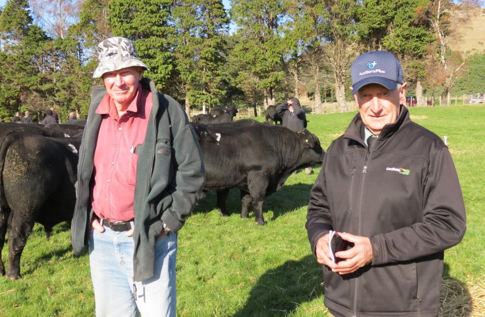 Delmont success...Angus bulls were on show at the Delmont Angus farm near Clinton. Keen to see...