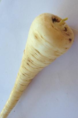 As their skins contain toxins, peel parsnips before cooking.