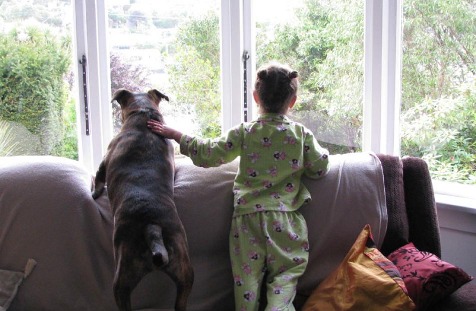 Three-year-old Aria Nixon-McFelin and Capri the dog watch Aria's granddad leave for work in the...