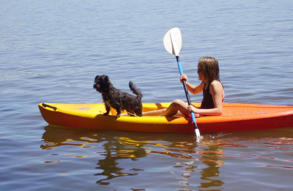 Kayaking on Lake Waihola with her dog Scruffy is Jordana Gillan (11). Photo by Jackie Gillan.
