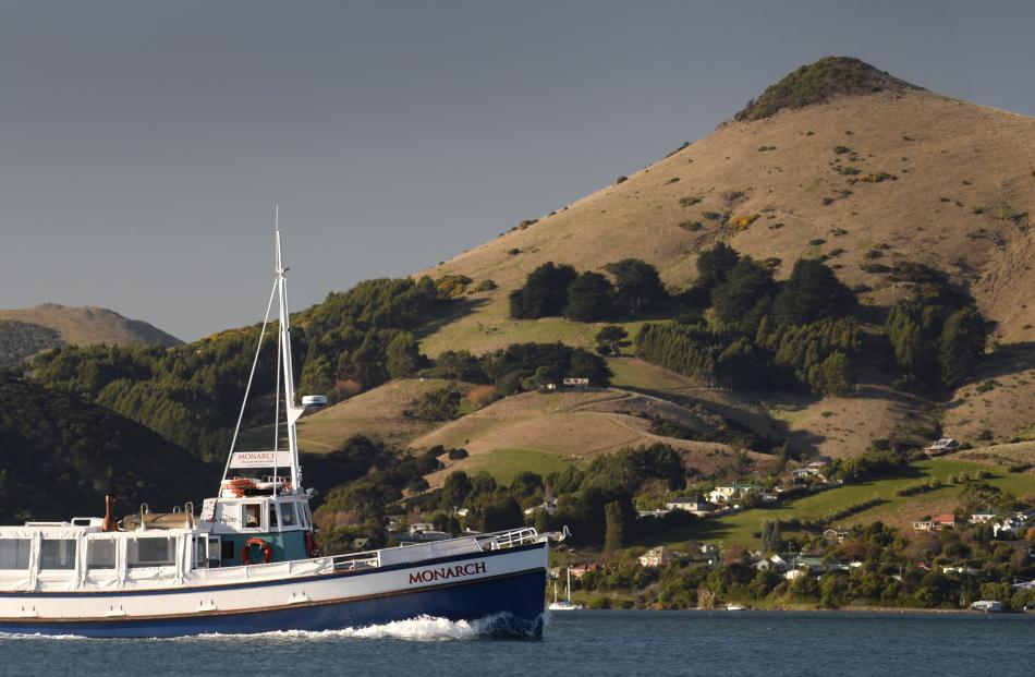  MV Monarch motors past Harbour Cone during a fully booked weekend of cruises on Otago Harbour. 