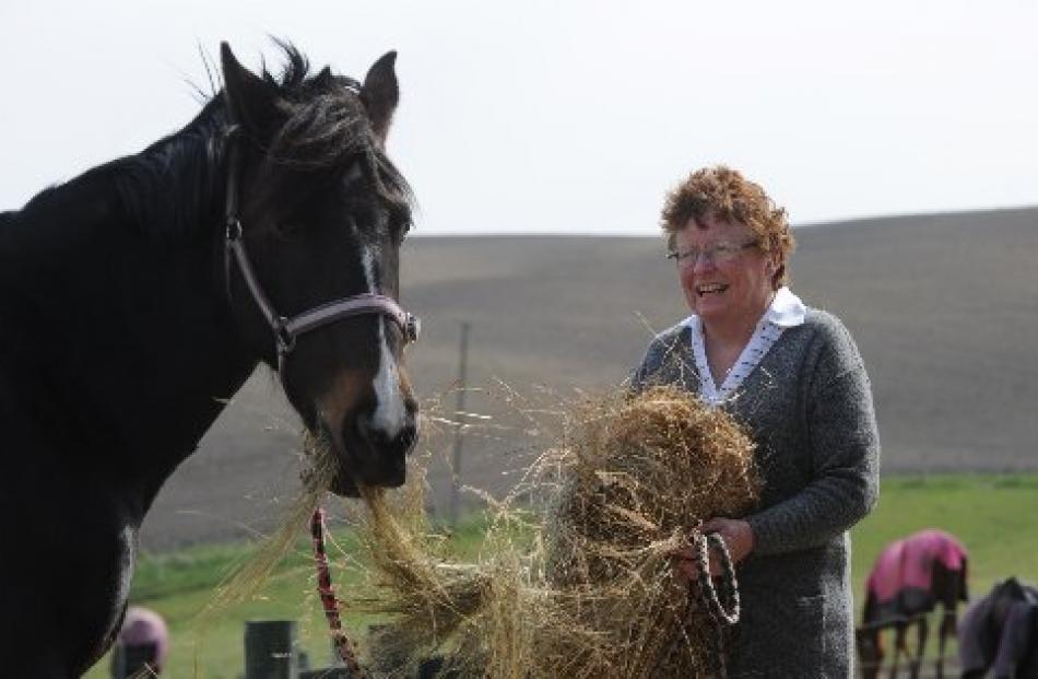 Horses have their own language, says Shirley Sheat, who has ridden them nearly all of her life.