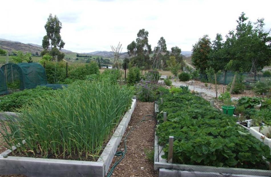 Immaculate vegetable gardens complement the olive and nut groves and the orchard on the property.