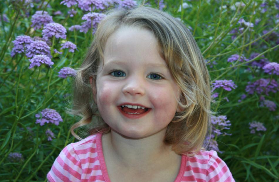 Lily Ottley (2), of Dunedin, visits the Dunedin Botanic Garden. Photo by Christ Ottley.