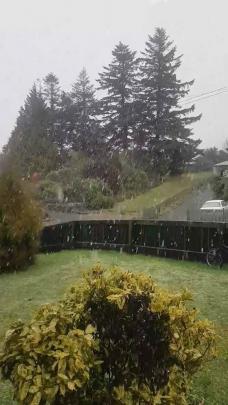 A sleety Brockville in Dunedin. Photo: Dijana Duric