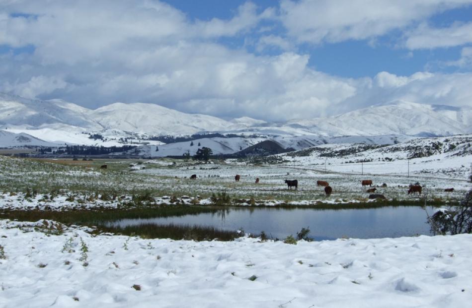 Snow near St Bathans. Photo by Lynda van Kempen.