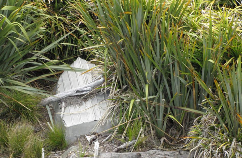 A washed-up aluminium dinghy.