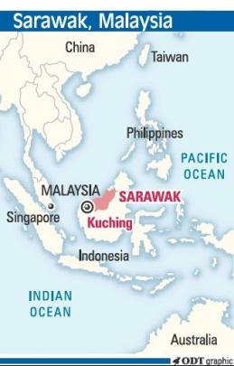 Mystery Cats Of Sarawak Otago Daily Times Online News