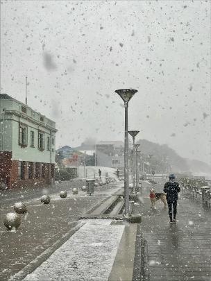 Snow fell to sea level at the St Clair Esplanade in Dunedin this morning. Photo: Luke Campbell