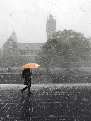 Snow falls at the University of Otago outside the clock tower building at 8.30 this morning. Photo: Claire Grant