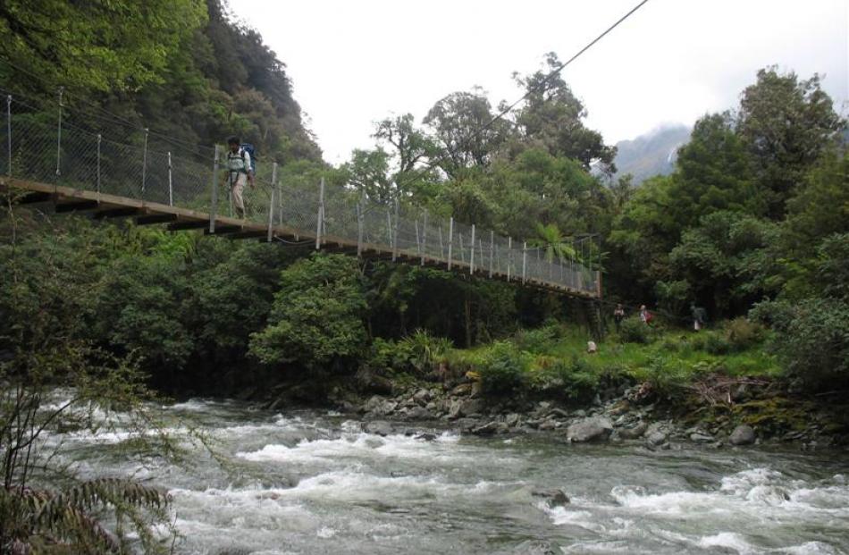 Suspension bridges ease the journey down the Hollyford Valley.