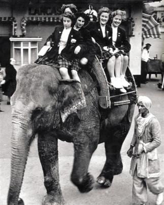 On an elephant at Belle Vue Zoo, Manchester. Photos supplied.