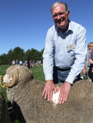 John Taylor, from the Winton merino stud in Tasmania, inspects a ram on display at the Paterson...