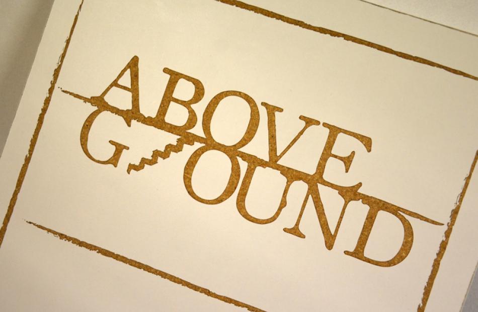 Go visit Above Ground studio and retail space, on upper Moray Place. Photo: Emily Cannan