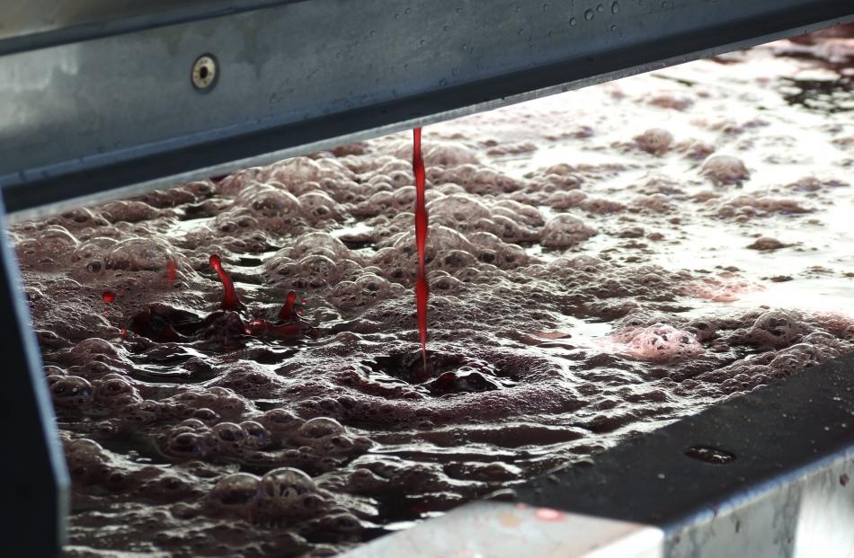 Rosé juice being produced at Amisfield's production facility between Cromwell and Wanaka late...