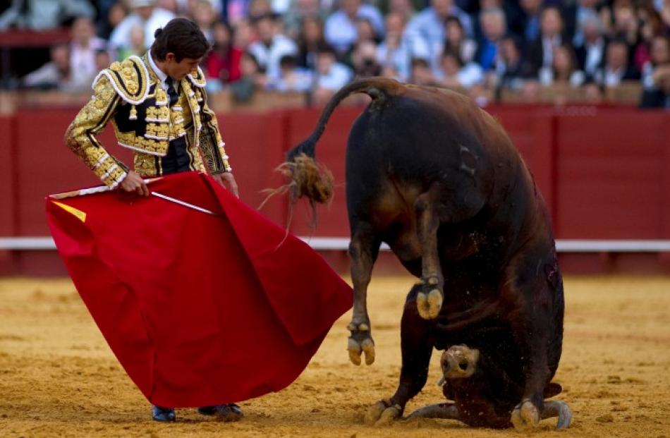 French matador Sebastian Castella performs a pass as the bull stabs his horns into the arena,...