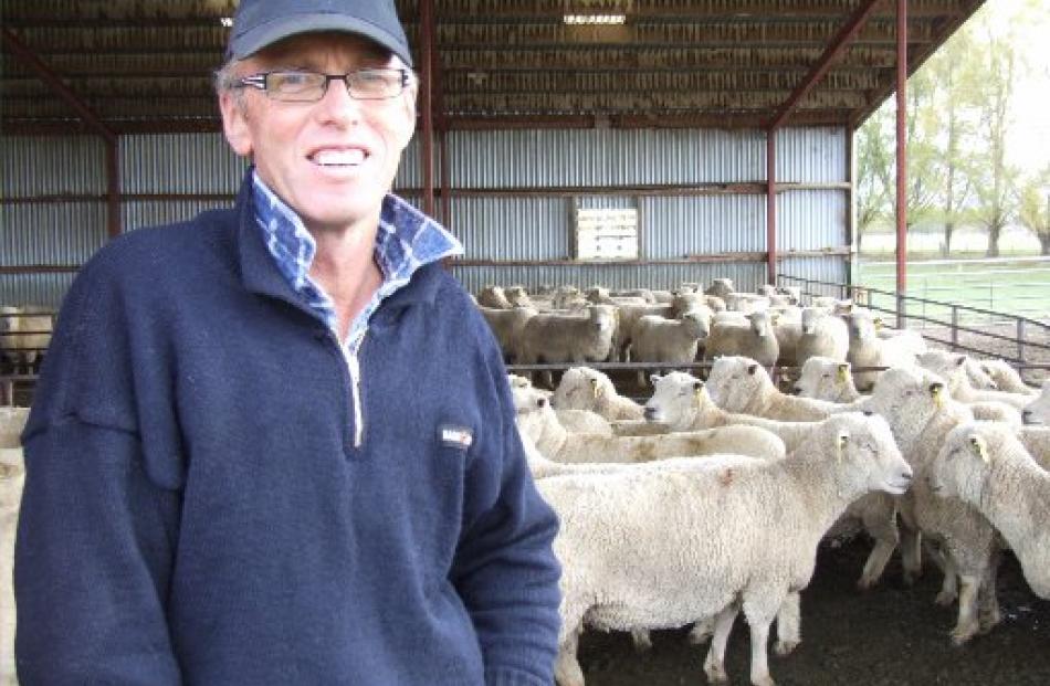 Omakau Southdown breeder Donny Maclean with some of the sheep on display during a New Zealand...