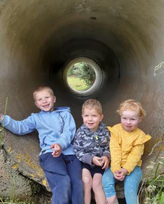 Logan (6, left) and Toby (3) Powe and their cousin Emily Sheat (2), of Palmerston, find some...