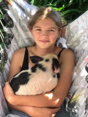 Graycen Kell (13), of Stirling, relaxes with her pet pig Fred. PHOTO: EMMA KELL


