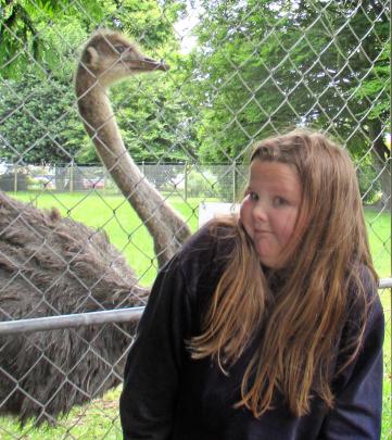 Brianna Higgan (11) meets the ostrich at Queens Park in Invercargill. PHOTO: TRACY MACAULAY-HIGGAN
