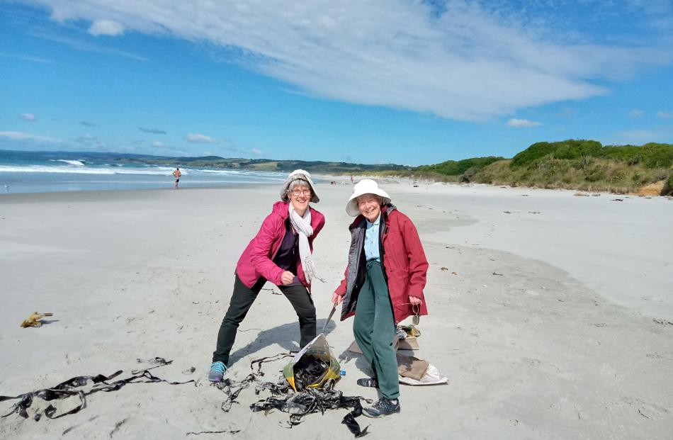 Philippa Jamieson (left) and Glennie Jamieson collect seaweed on Christmas morning at Brighton...