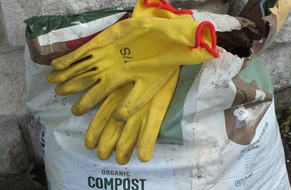 It’s not sissy but essential to wear gloves and a mask when handling potting mixes and compost.