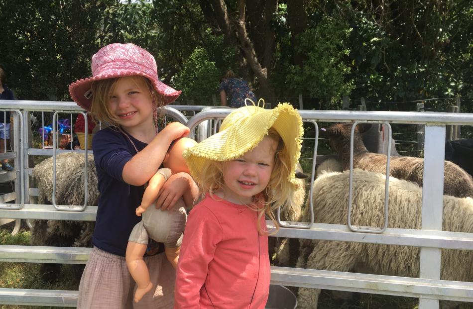 Sienna (4) and Cara (2) Bailey, of Christchurch, check out the rare breeds of sheep. PHOTOS:...