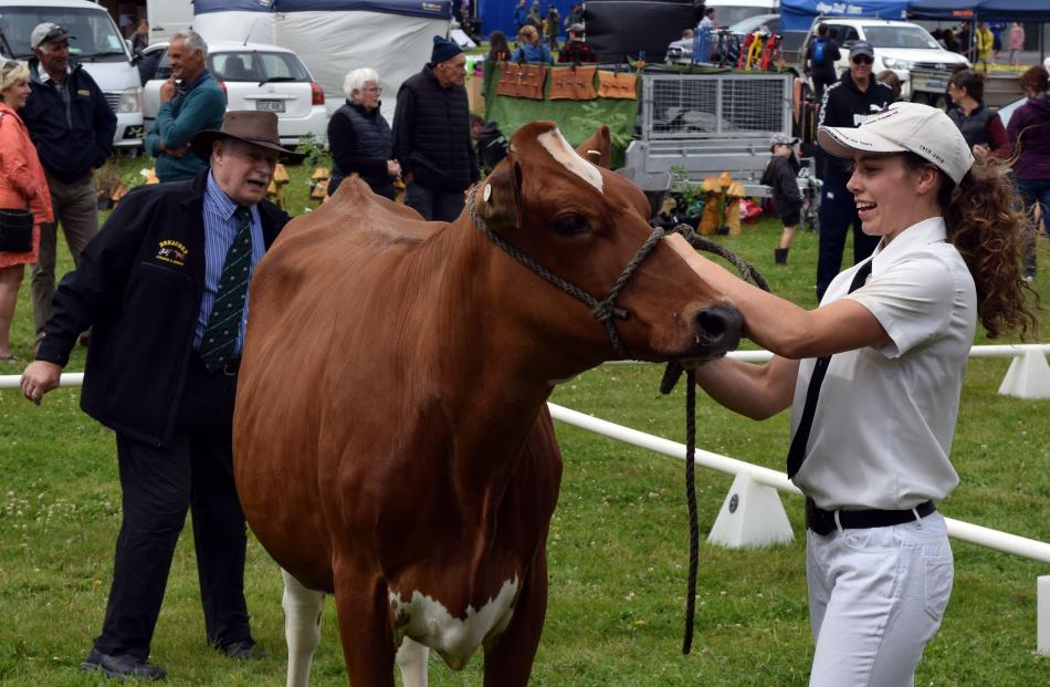 Lorna Button (20), of Kaka Point, has her Holstein Friesian yearling heifer judged by Peter...