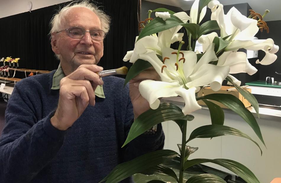 Des Poulson, of Timaru, uses a soft brush to remove pollen as he prepares a lily for exhibition....