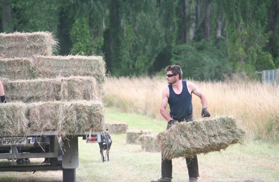 Hind Young Farmer’s Mitchell Keir in action. PHOTOS: TONI WILLIAMS