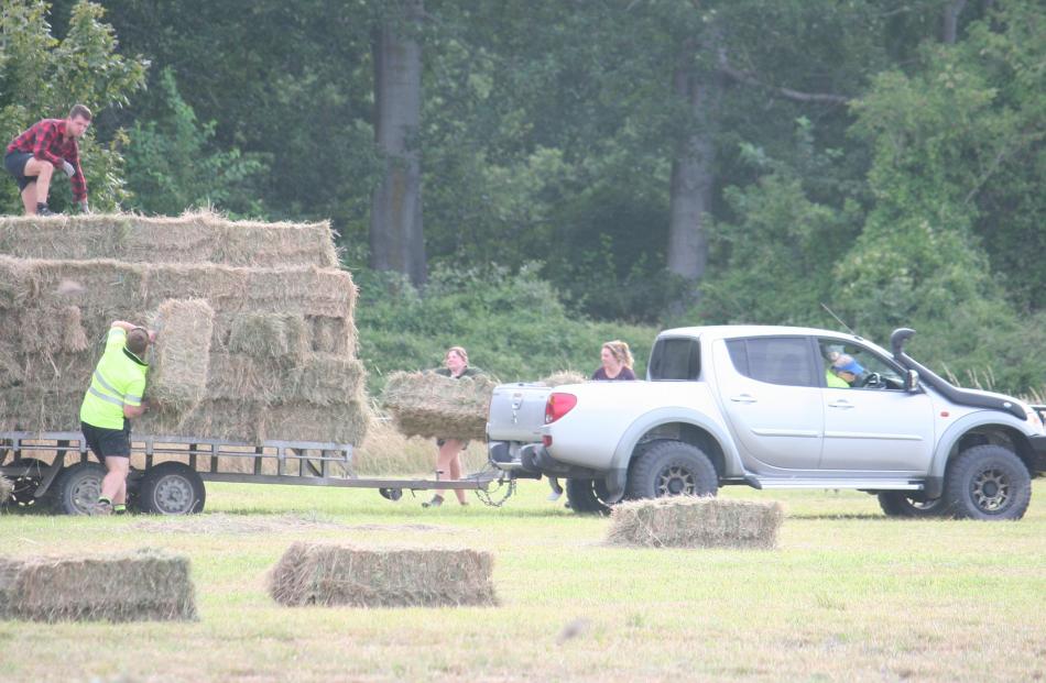 Hinds Young Farmers in action this week bale carting meadow hay from paddocks at Trevors Rd, on...