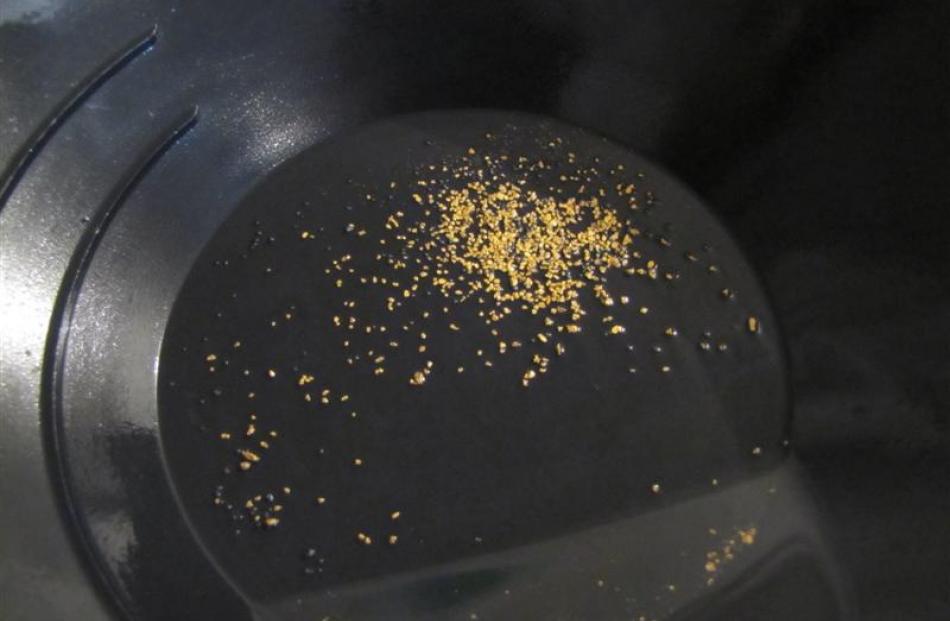 The last of the unwanted material is panned out to separate the gold at the Glass Earth Gold's...